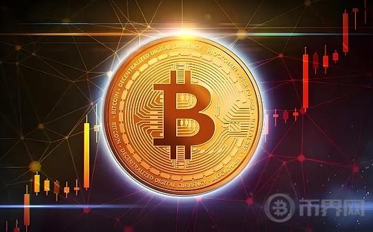 2025年第一个投资选择!机构认为最具潜力的10种山寨币
